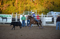 Break Away Roping