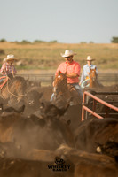 Whiskey Ranch | Sale Horses | 2023