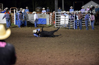 Steer Wrest