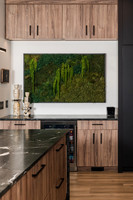 Trendy Gardener | Moss Wall + Bubba | 2025