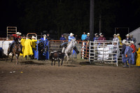 Steer Wrest