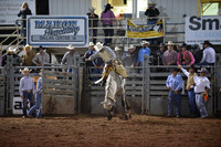 Saddle Bronc