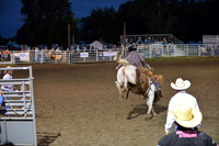Saddle Bronc