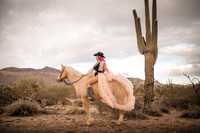 Allison Hardt | Desert Getaway | 2021